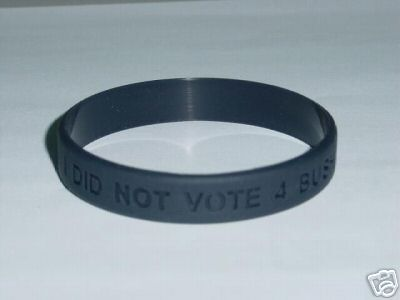 IDidNotVoteForBush.bmp